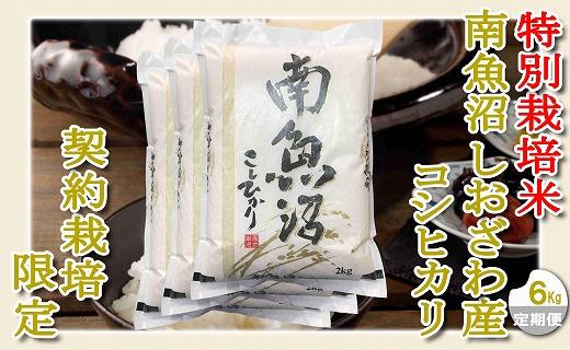 【令和7年産】【定期配送６Kg×６ヶ月】特別栽培&nbsp;生産者限定&nbsp;&nbsp;南魚沼しおざわ産コシヒカリ