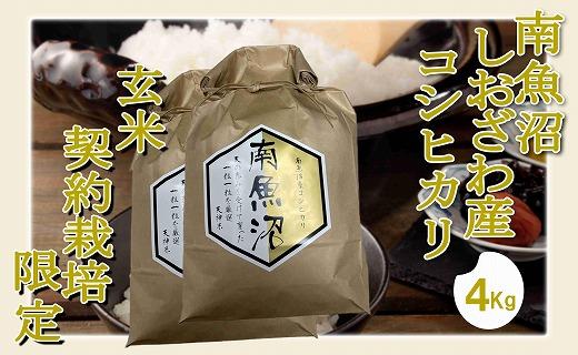 【玄米４Kg】●玄米● 生産者限定 南魚沼しおざわ産コシヒカリ