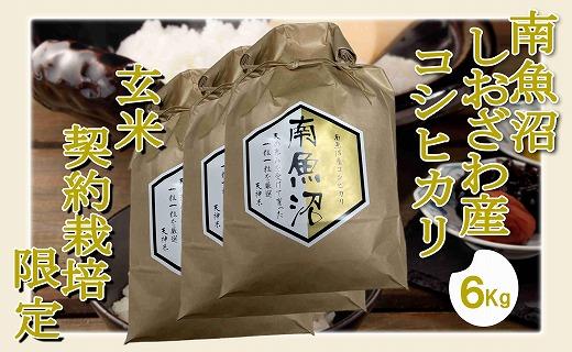 【令和7年産】【玄米６Kg】●玄米●&nbsp;生産者限定&nbsp;南魚沼しおざわ産コシヒカリ