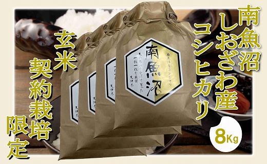 【玄米８Kg】●玄米● 生産者限定 南魚沼しおざわ産コシヒカリ