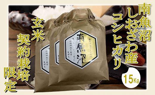 【令和7年産】【玄米１５Kg】●玄米●&nbsp;生産者限定&nbsp;南魚沼しおざわ産コシヒカリ