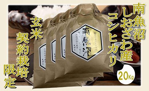 【令和7年産】【玄米２０Kg】●玄米●&nbsp;生産者限定&nbsp;南魚沼しおざわ産コシヒカリ