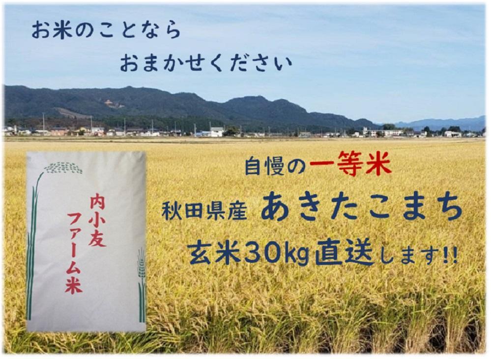 令和5年産　JTBのふるさと納税サイト　[ふるぽ]　農家直送　一等米　秋田県産あきたこまち　玄米30kg