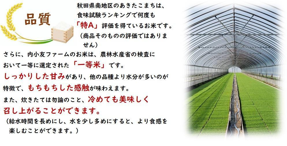 令和5年産 秋田県産あきたこまち 一等米 農家直送 無洗米10kg | JTBの