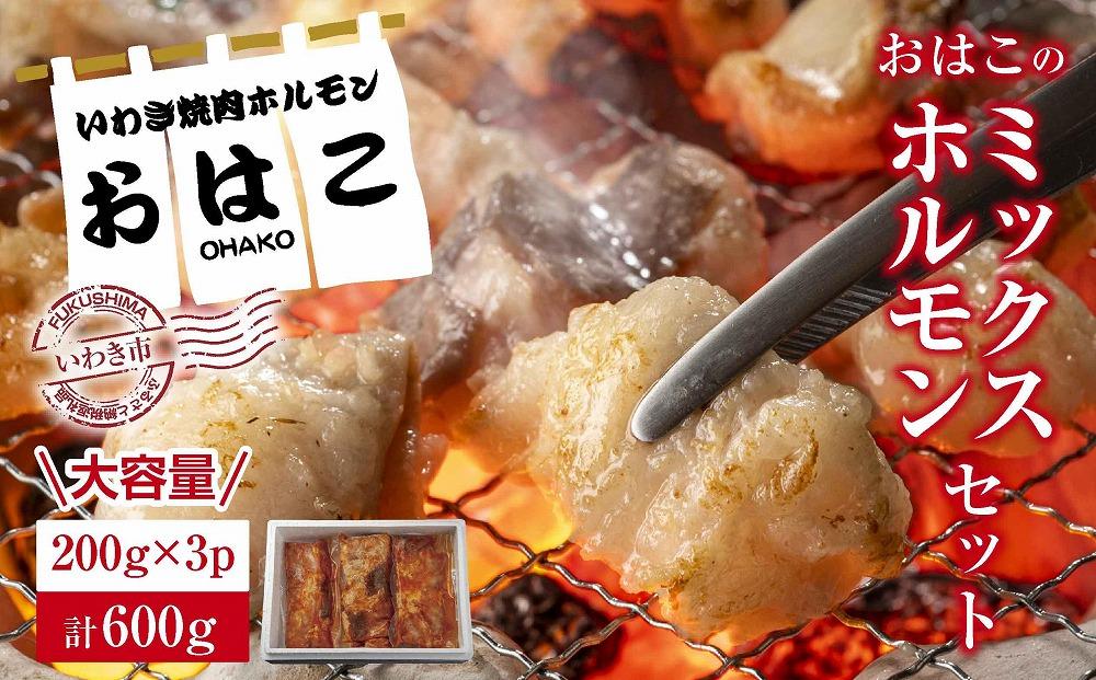 【新鮮ホルモン焼肉】焼肉専門店よりお届け　本格ホルモンをご自宅で！　ミックスホルモンセット600g！