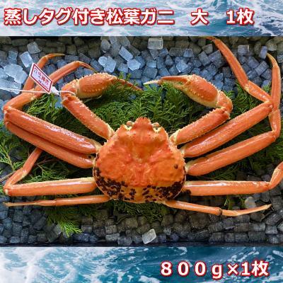 【先行予約】蒸しタグ付き松葉ガニ　大　１枚　800～940ｇ前後MK6