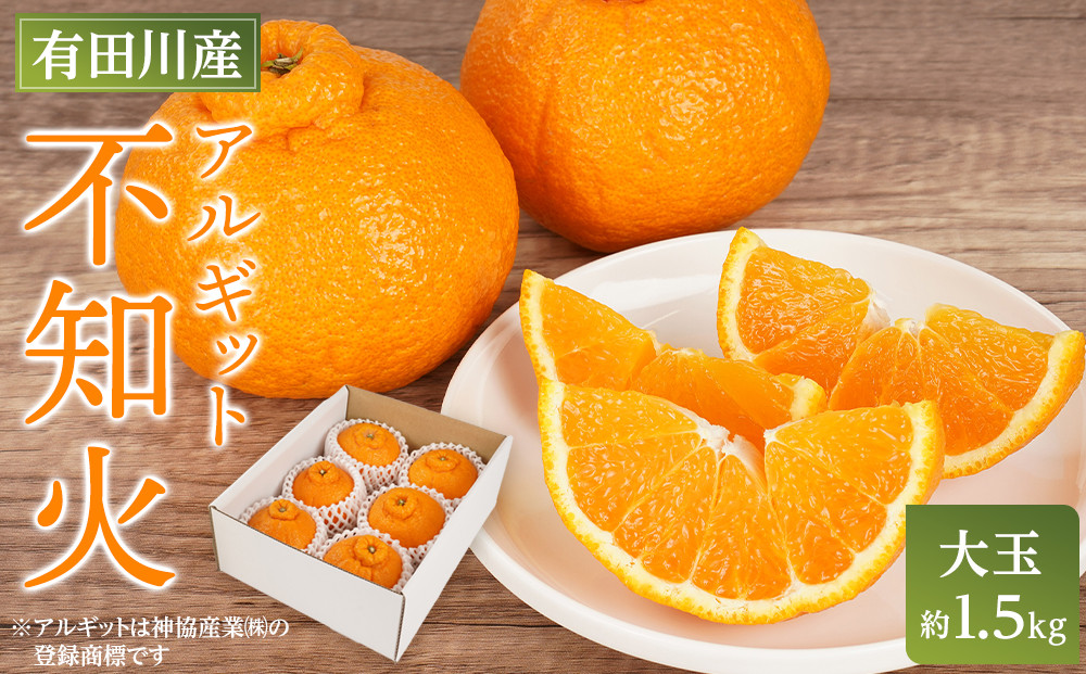 アルギット&nbsp;不知火&nbsp;約1.5kg&nbsp;大玉&nbsp;サイズ（5～6玉）|&nbsp;先行予約&nbsp;不知火&nbsp;デコ&nbsp;みかん&nbsp;甘い&nbsp;おいしい&nbsp;ジューシー&nbsp;完熟&nbsp;期間限定&nbsp;数量限定&nbsp;フルーツ&nbsp;果物&nbsp;柑橘&nbsp;人気&nbsp;おすすめ&nbsp;高級&nbsp;こだわり&nbsp;ギフト&nbsp;旬&nbsp;お取り寄せ&nbsp;送料無料&nbsp;和歌山&nbsp;有田川町