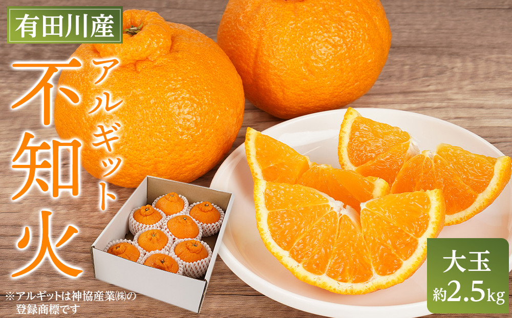 アルギット&nbsp;不知火&nbsp;約2.5kg&nbsp;大玉&nbsp;サイズ（8～9玉）|&nbsp;先行予約&nbsp;不知火&nbsp;デコ&nbsp;みかん&nbsp;甘い&nbsp;おいしい&nbsp;ジューシー&nbsp;完熟&nbsp;期間限定&nbsp;数量限定&nbsp;フルーツ&nbsp;果物&nbsp;柑橘&nbsp;人気&nbsp;おすすめ&nbsp;高級&nbsp;こだわり&nbsp;ギフト&nbsp;旬&nbsp;お取り寄せ&nbsp;送料無料&nbsp;和歌山&nbsp;有田川町