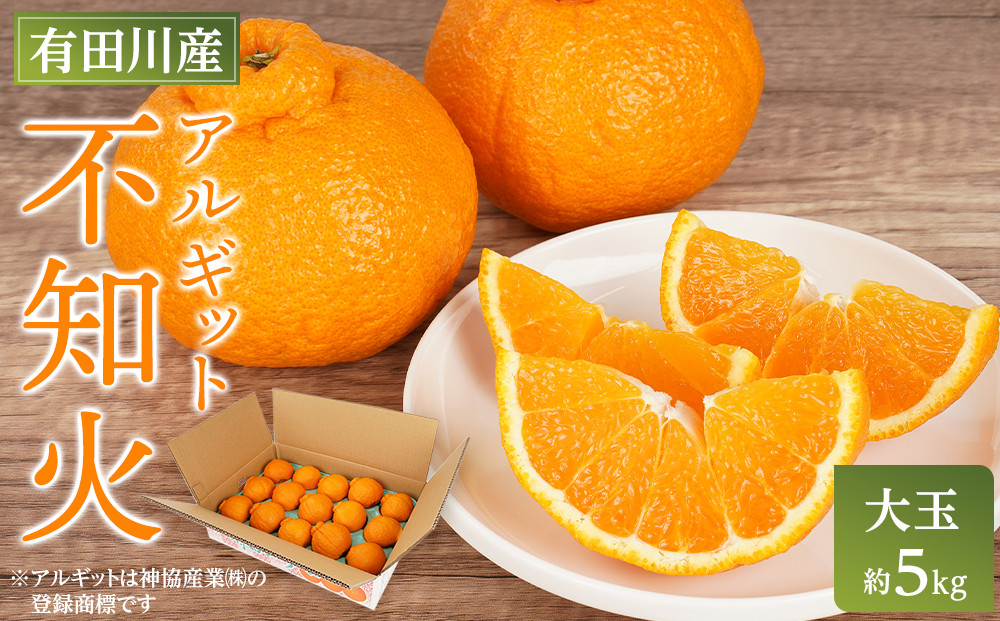 アルギット&nbsp;不知火&nbsp;約5kg&nbsp;大玉&nbsp;サイズ（15～18玉）|&nbsp;先行予約&nbsp;不知火&nbsp;デコ&nbsp;みかん&nbsp;甘い&nbsp;おいしい&nbsp;ジューシー&nbsp;完熟&nbsp;期間限定&nbsp;数量限定&nbsp;フルーツ&nbsp;果物&nbsp;柑橘&nbsp;人気&nbsp;おすすめ&nbsp;高級&nbsp;こだわり&nbsp;ギフト&nbsp;旬&nbsp;お取り寄せ&nbsp;送料無料&nbsp;和歌山&nbsp;有田川町