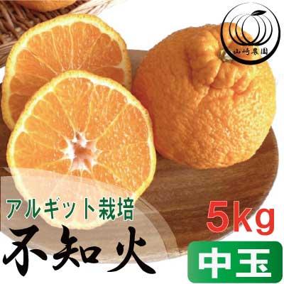 アルギット 不知火 約5kg 中玉 サイズ（20～22玉）| 先行予約 不知火 デコ みかん 甘い おいしい ジューシー 完熟 期間限定 数量限定 フルーツ 果物 柑橘 人気 おすすめ 高級 こだわり ギフト 旬 お取り寄せ 送料無料 和歌山 有田川町