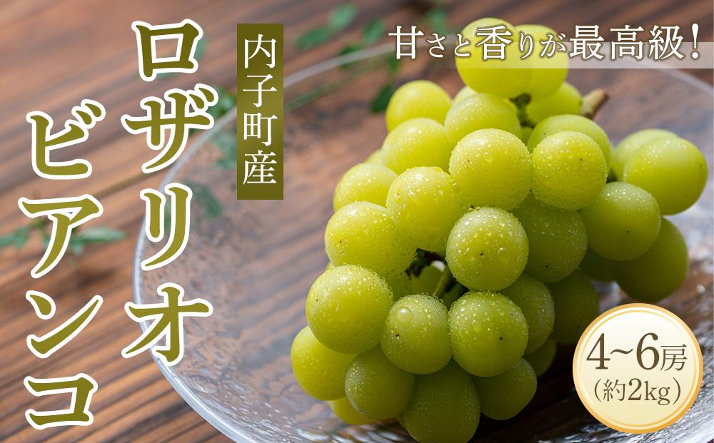 ＜先行予約＞ロザリオ・ビアンコ 約2kg1箱（4房～）【ブドウ マスカット 葡萄 先行予約 葡萄 マスカット ロザリオ・ビアンコ ビアンコ 美味しい ぶどう マスカット ロザリオ・ビアンコ フルーツ　ロザリオ・ビアンコ 特秀 ロザリオ・ビアンコ マスカット 新鮮 マスカット ぶどう マスカット 葡萄 大人気 ぶどう マスカット 愛媛 マスカット ブドウ マスカット 送料無料】