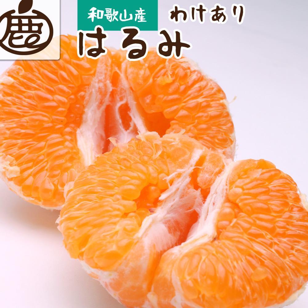 ＜2月より発送＞家庭用はるみ2kg+60g（傷み補償分）【デコポンの姉妹品種・新食感春みかん】【光センサー選別】【わけあり・訳あり】