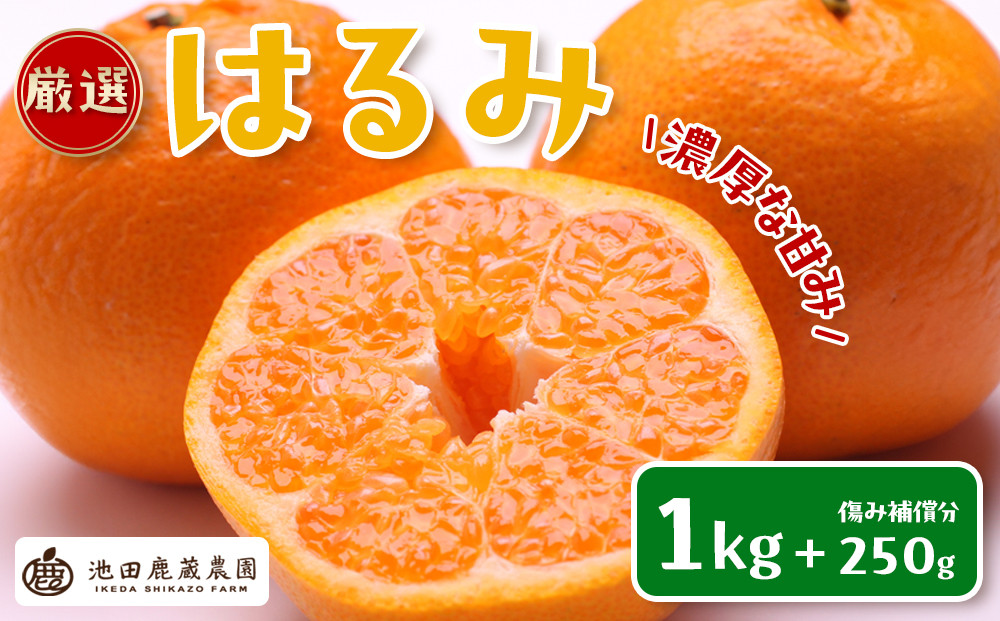 ［先行予約］厳選&nbsp;はるみ1kg+250g（傷み補償分）［デコポンの姉妹品種・新食感春みかん］