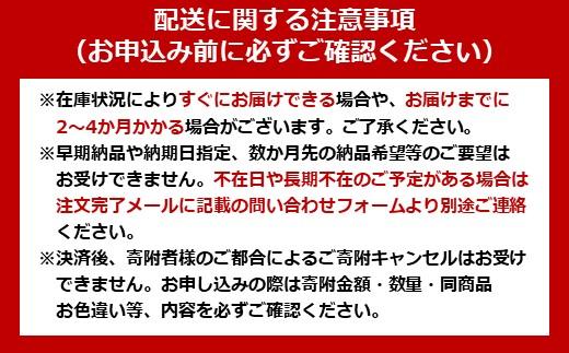 120ｇ×40食】 パックごはん 低温製法米のおいしいごはん アイリス