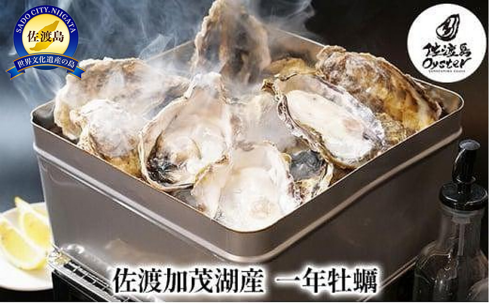 【佐渡加茂湖産】 一年牡蠣のカンカン焼き（殻付き牡蠣約2kg）
