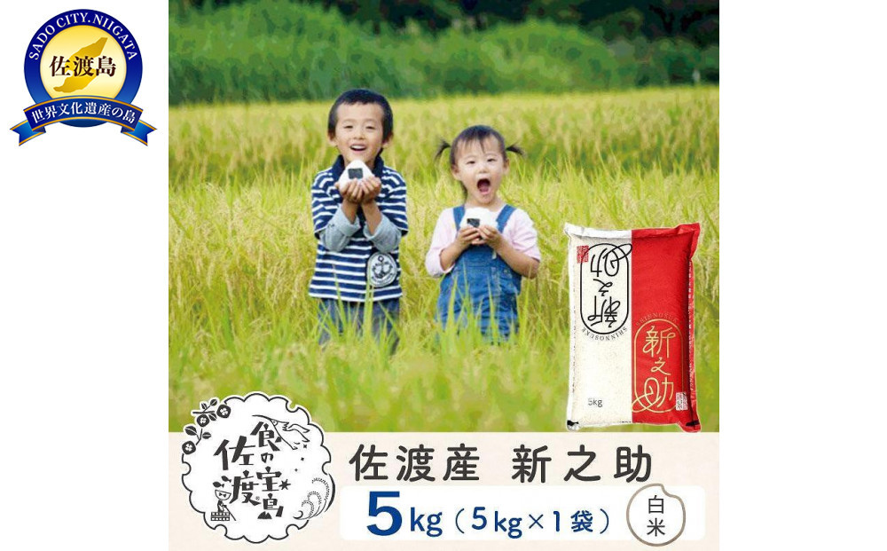 佐渡島産&nbsp;新之助&nbsp;白米5kg×1袋