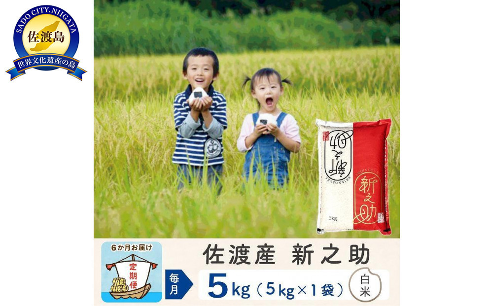 【新米予約&nbsp;6か月定期便】佐渡島産&nbsp;新之助&nbsp;白米5Kg&nbsp;令和7年