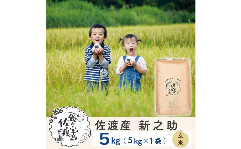 佐渡島産&nbsp;新之助&nbsp;玄米5kg×1袋