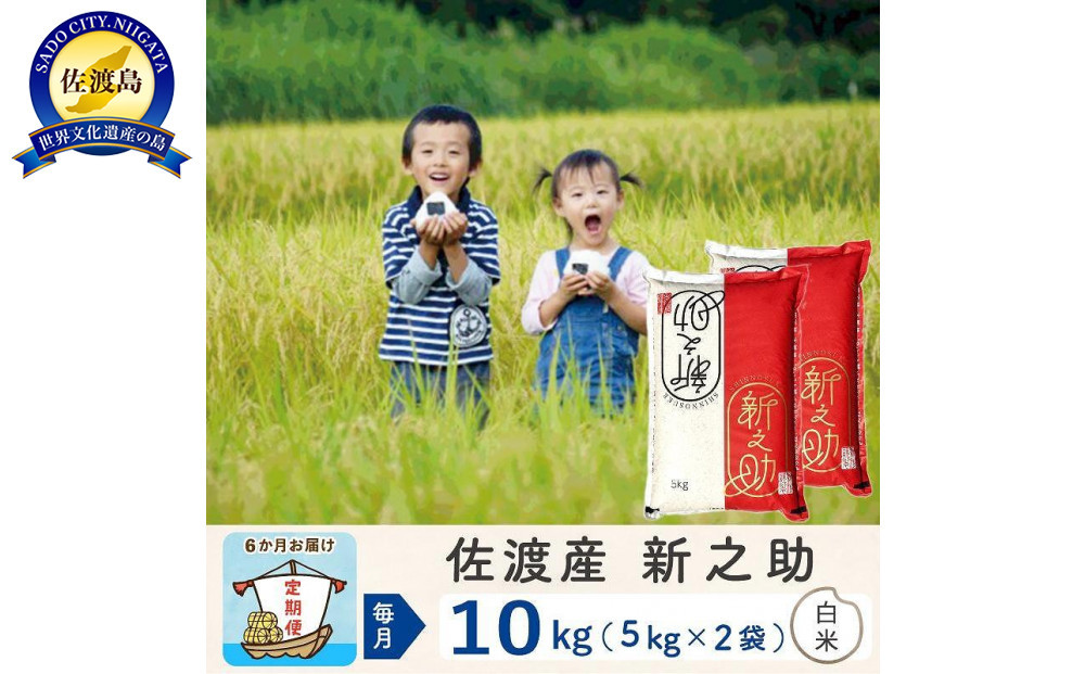 【新米予約&nbsp;6か月定期便】佐渡島産&nbsp;新之助&nbsp;白米10Kg&nbsp;令和7年