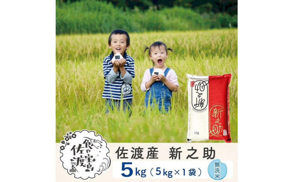 佐渡島産&nbsp;新之助&nbsp;無洗米5kg×1袋