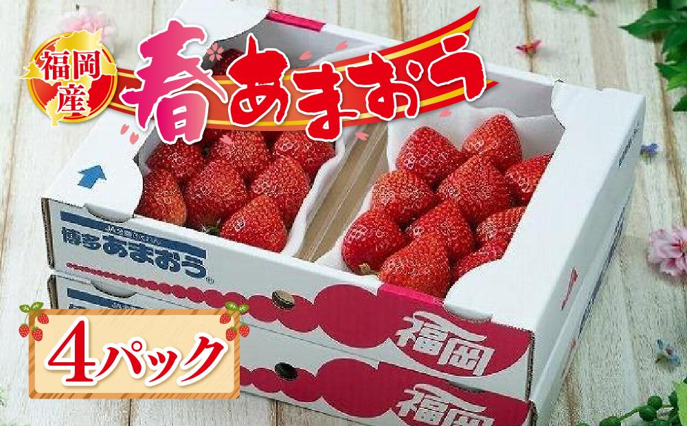 【2025年2月上旬より順次発送】先行予約！福岡産あまおう【春】4パック【あまおう いちご イチゴ 苺 フルーツ くだもの 福岡県産 ブランド 果物 食品 人気 おすすめ ギフト 贈答 福岡県 筑前町 DX003】