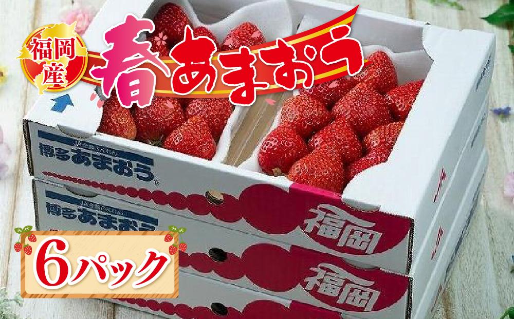 【2025年2月上旬より順次発送】先行予約！福岡産あまおう【春】6パック【あまおう いちご イチゴ 苺 フルーツ くだもの 福岡県産 ブランド 果物 食品 人気 おすすめ ギフト 贈答 福岡県 筑前町 DX004】