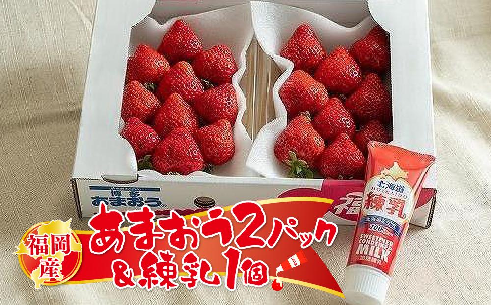 福岡産あまおう2パック＆練乳１個 ※一部離島不可【いちご イチゴ 苺 あまおう 福岡県産 ブランド フルーツ 果物 くだもの 練乳 加工品 食品 人気 おすすめ 福岡県 筑前町 DX007】