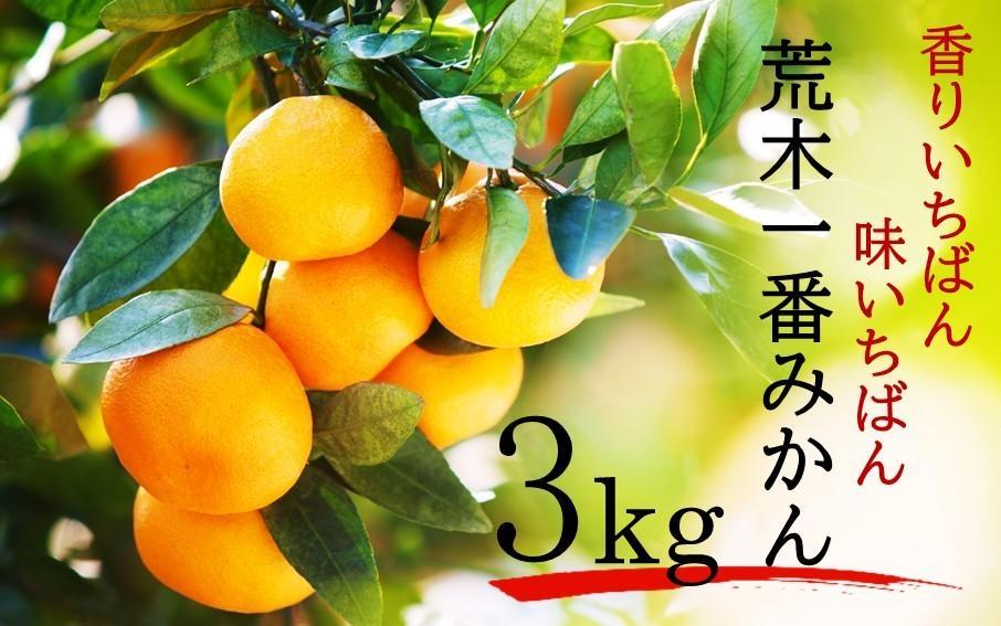 【先行予約】令和5年12月出荷開始/荒木一番みかん3kg _2305R