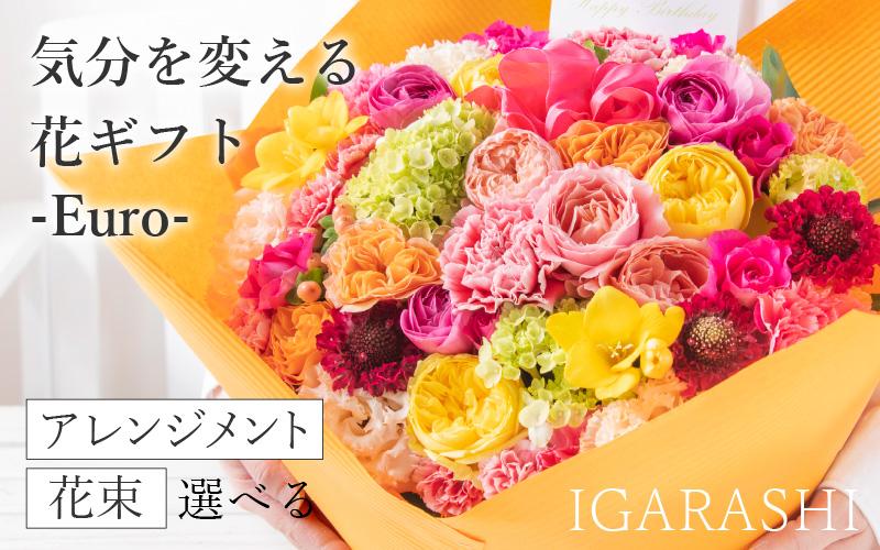 気分を変える花ギフト Euro(アレンジメント・四季限定アイテム)