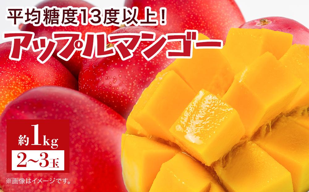 【2026年7月下旬より発送】【先行予約】平均糖度13度以上！アップルマンゴー約1kg（2~3玉）|&nbsp;果物&nbsp;フルーツ&nbsp;マンゴー&nbsp;アップルマンゴー&nbsp;1kg&nbsp;人気&nbsp;おすすめ&nbsp;おすすめフルーツ&nbsp;期間限定&nbsp;鹿児島県&nbsp;与論町