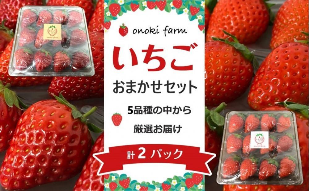 おおのきふぁーむ　苺おまかせセット　2パック