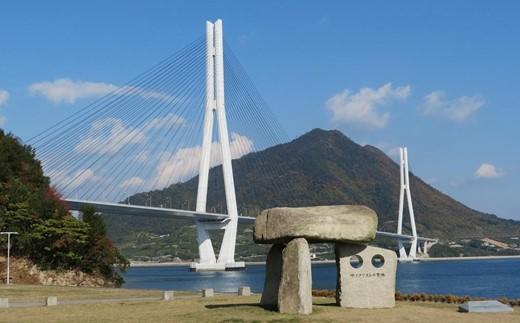 瀬戸内しまなみ海道 多々羅大橋塔頂体験【令和7年10月25日(土）10:20～】