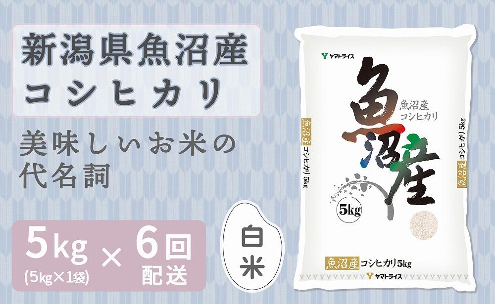 【定期便全6回】新潟県魚沼産コシヒカリ5kg