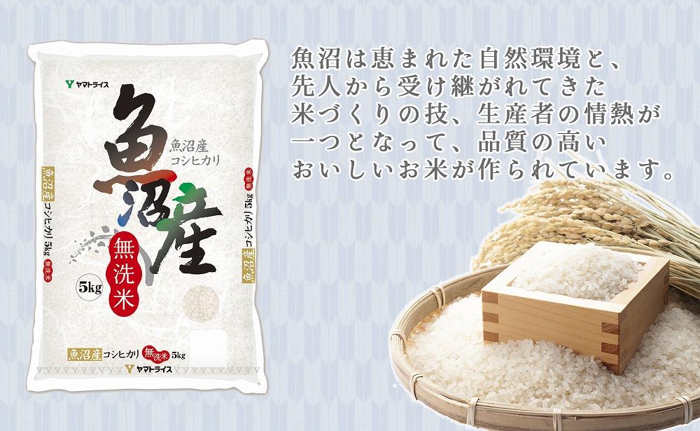 ふるさと納税 南魚沼市 南魚沼産コシヒカリ(無洗米5kg) ふるさと納税 南魚沼産コシヒカリ（無洗米5kg×全6回） 新潟県南魚沼市