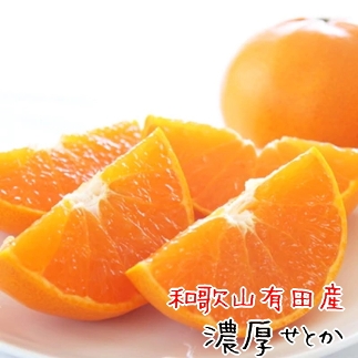 高級希少柑橘　芳醇で濃厚な甘さ。 和歌山有田の濃厚せとか