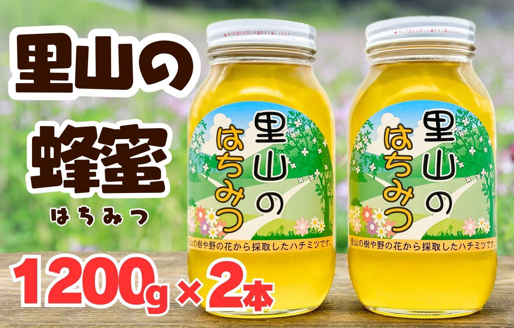 ありだ里山の蜂蜜（1200ｇ×2本セット）