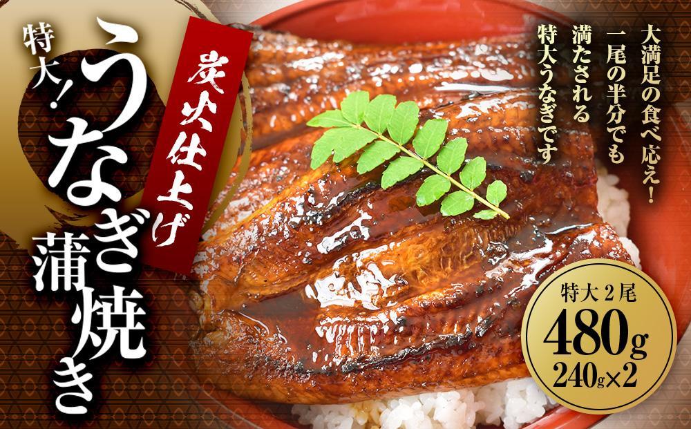 うなぎ蒲焼き2尾入り 480g（蒲焼たれ4袋 山椒付き）【年末発送：12月25日～29日発送】【KS6】