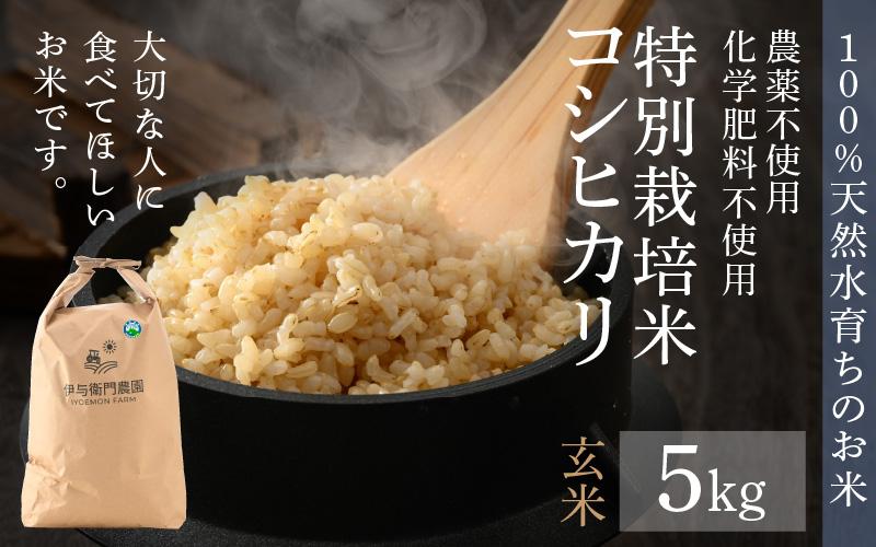 5kg　先行予約】【令和6年産】コシヒカリ　JTBのふるさと納税サイト　＜温度と湿度を常時管理し新鮮米を出荷！＞※2024年9月下旬より順次発送予定　化学肥料不使用　特別栽培米　玄米　[ふるぽ]