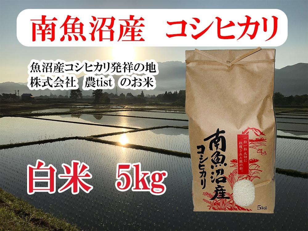 【令和7年産】【南魚沼産】コシヒカリ&nbsp;白米5kg