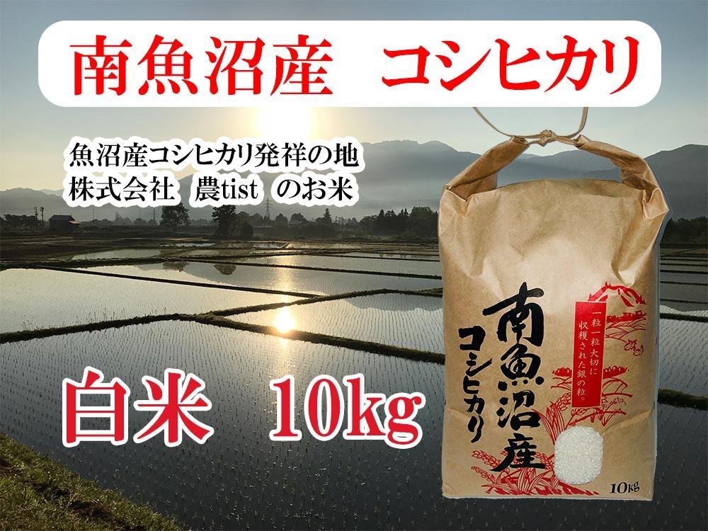 【令和7年産】【南魚沼産】コシヒカリ&nbsp;白米10kg