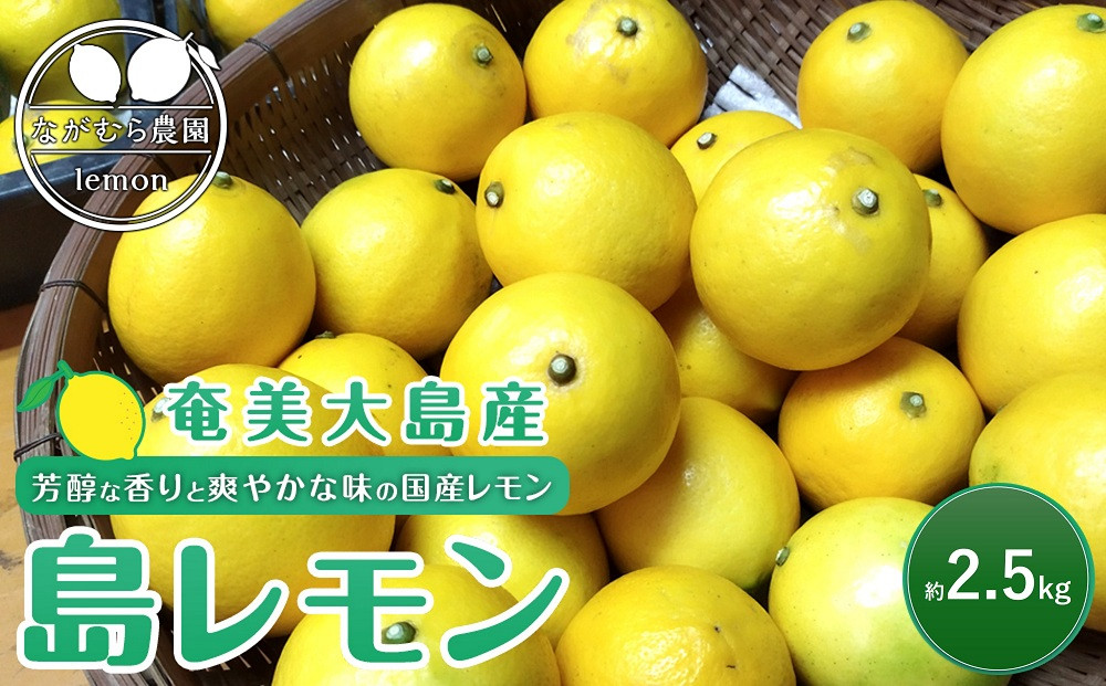 奄美大島産 島れもん 2.5kg＜芳醇な香りと爽やかな味の国産レモン＞|レモン れもん 檸檬 柑橘 フルーツ ふるーつ 果物 くだもの