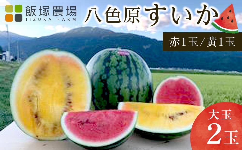 【夏季限定】飯塚農場産の八色原すいか　大玉2玉（赤1玉・黄1玉）セット