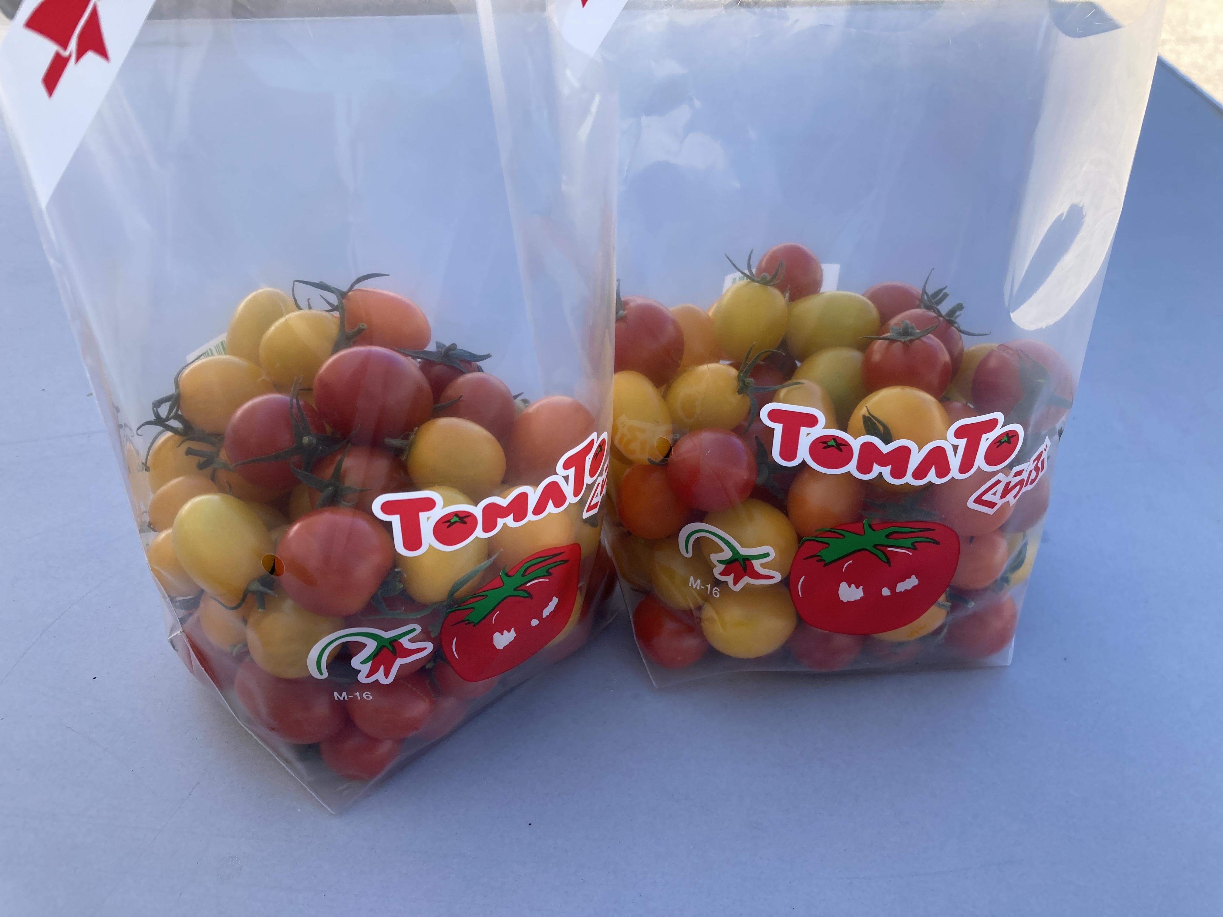 【5月発送】長浜農業高校&nbsp;ミニトマト&nbsp;800g