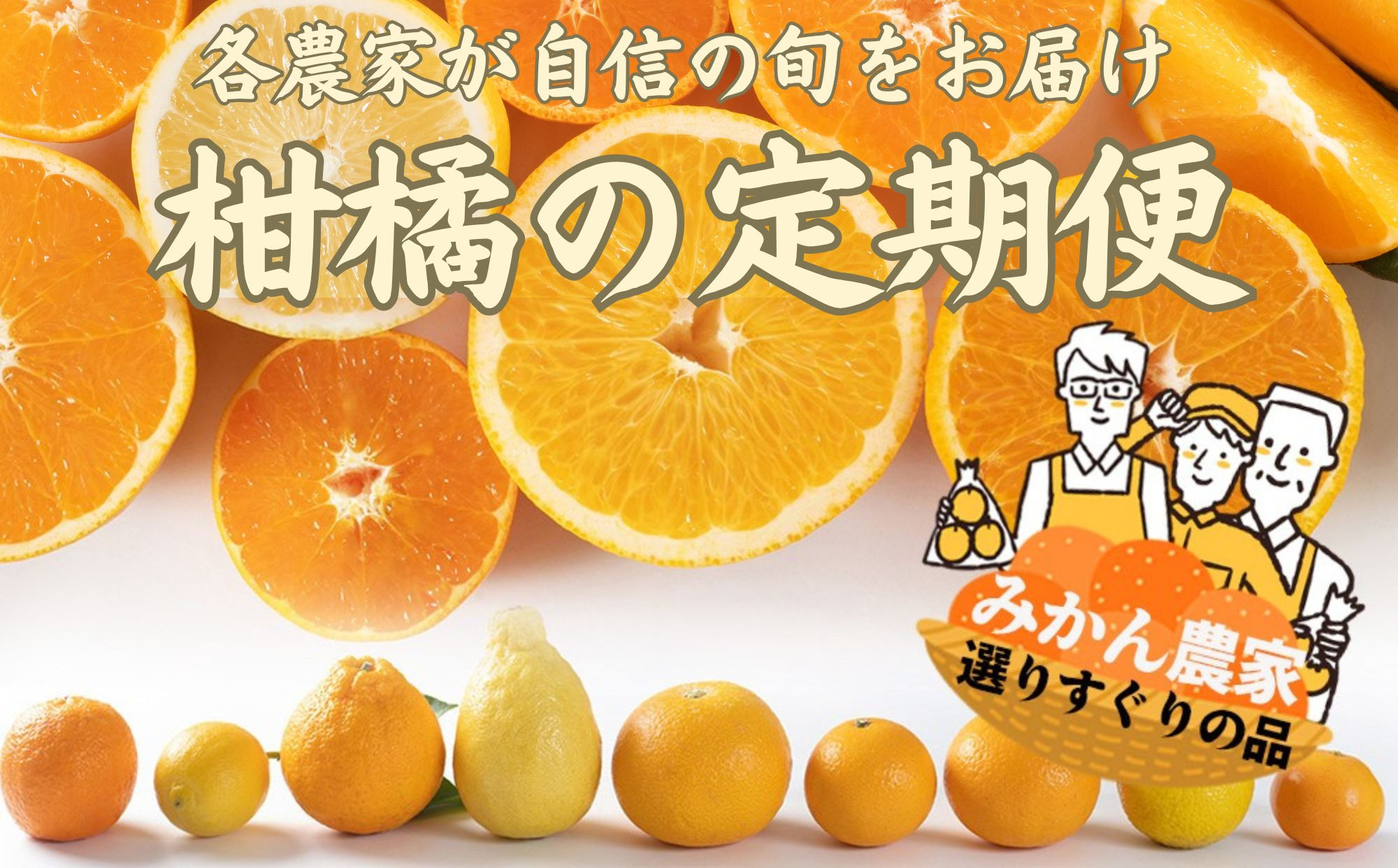 みかん定期便&nbsp;全10回&nbsp;温州みかん&nbsp;蜜柑&nbsp;ミカン&nbsp;柑橘&nbsp;かんきつ&nbsp;定期便&nbsp;和歌山県&nbsp;海南市&nbsp;農園直送&nbsp;&nbsp;早生&nbsp;ゆら&nbsp;完熟&nbsp;蔵出し&nbsp;津之輝&nbsp;清見オレンジ&nbsp;不知火&nbsp;みかんジュース&nbsp;果物&nbsp;フルーツ&nbsp;国産&nbsp;産地直送