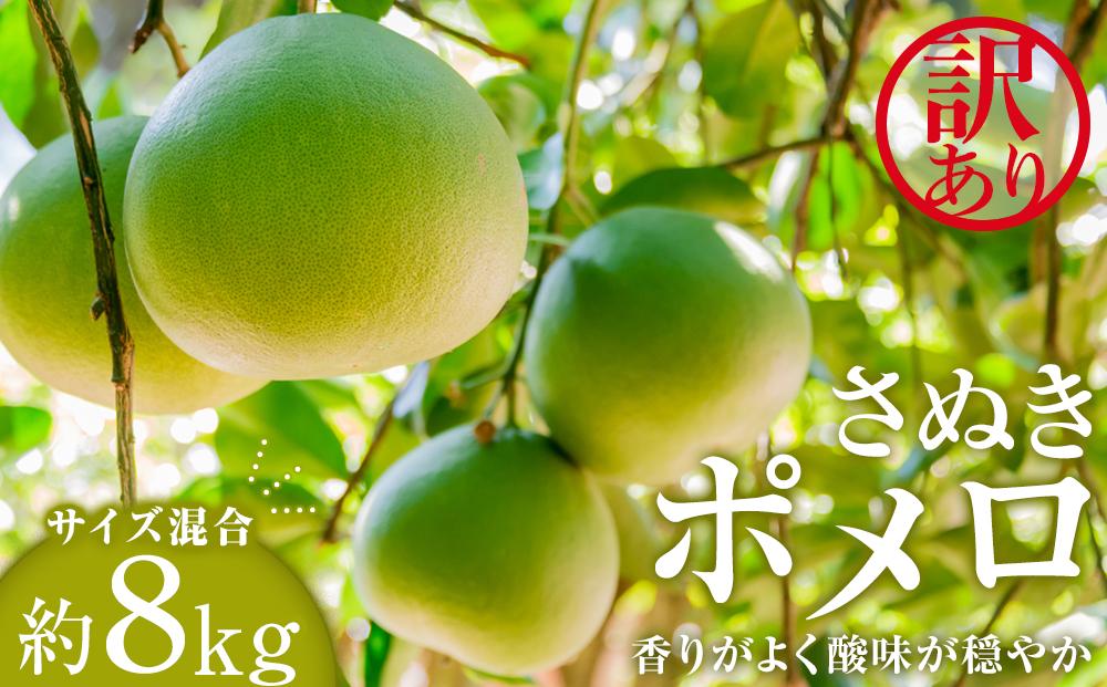 【訳あり】さぬきポメロ　約８ｋｇ（サイズ混合）