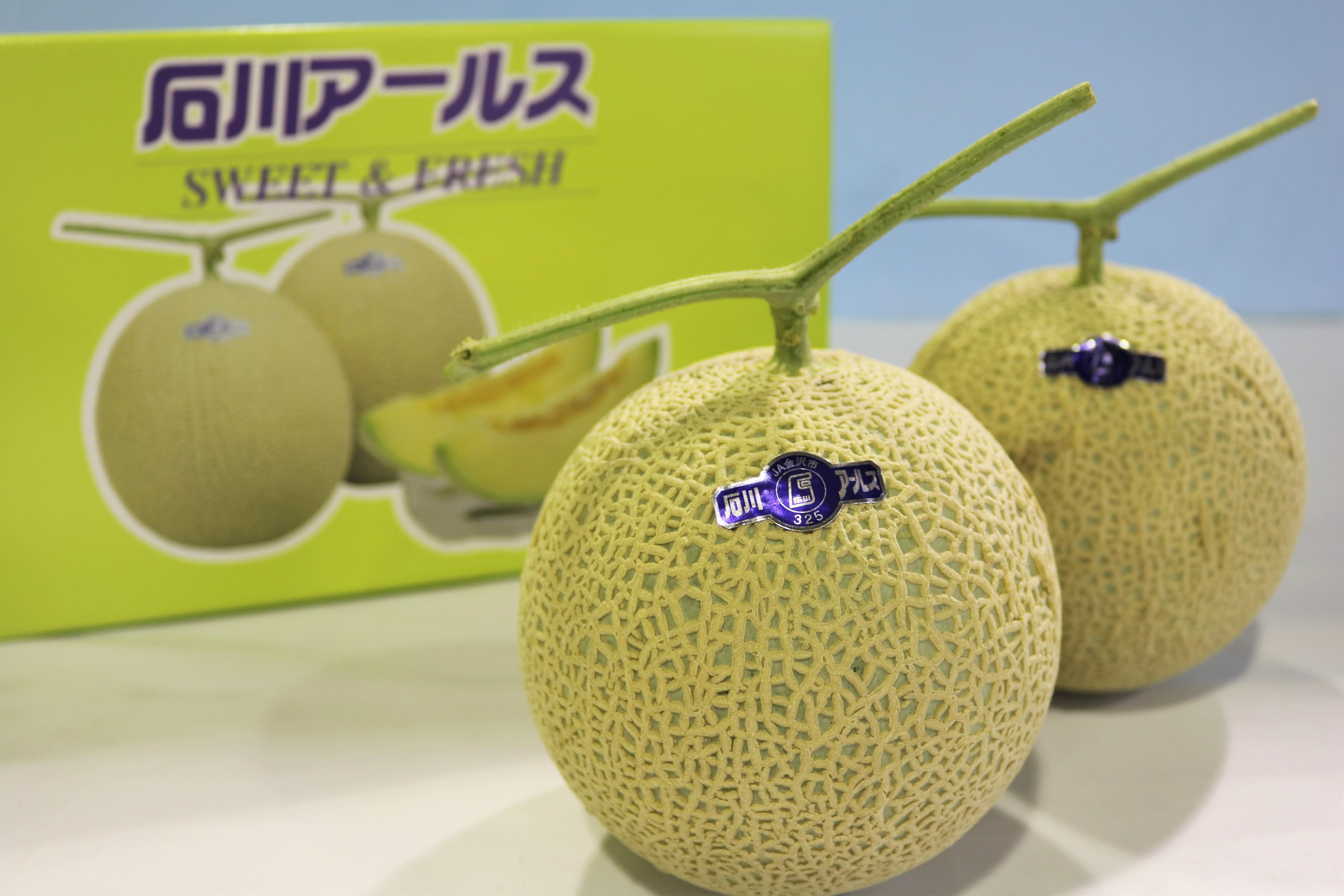 2026年先行予約】JA金沢市 アールスメロン 2玉 | メロン めろん 果物