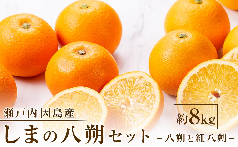 【先行予約】しまの八朔セット約8kg（Mサイズ程度　約30個　紅八朔と八朔）＜2025年1月下旬から発送＞