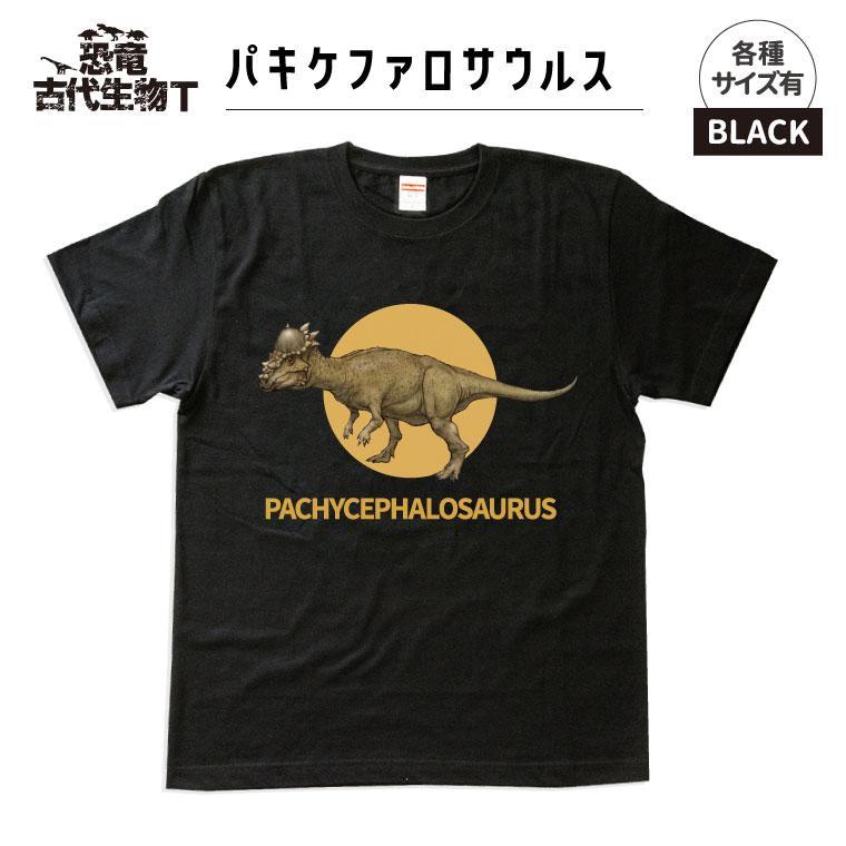 恐竜・古代生物Tシャツ　パキケファロサウルス 036　サイズ150（キッズ・ユニセックス）