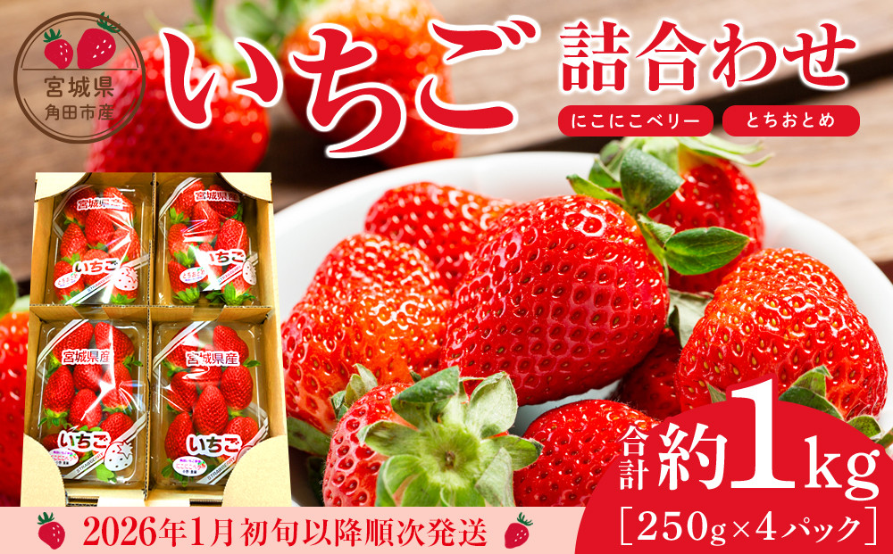 【JAみやぎ仙南】宮城県角田市産いちご　にこにこベリー・とちおとめ詰合せ　合計約1kg（250g×4パック）