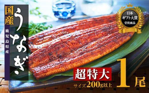 【お試し】鹿児島県産長蒲焼特大1尾（200g以上×1尾）【鰻 国産うなぎ蒲焼き たれ うな重 ひつまぶし ウナギ 蒲焼 特大 人気 おすすめ 鹿児島県 大崎町 A931】